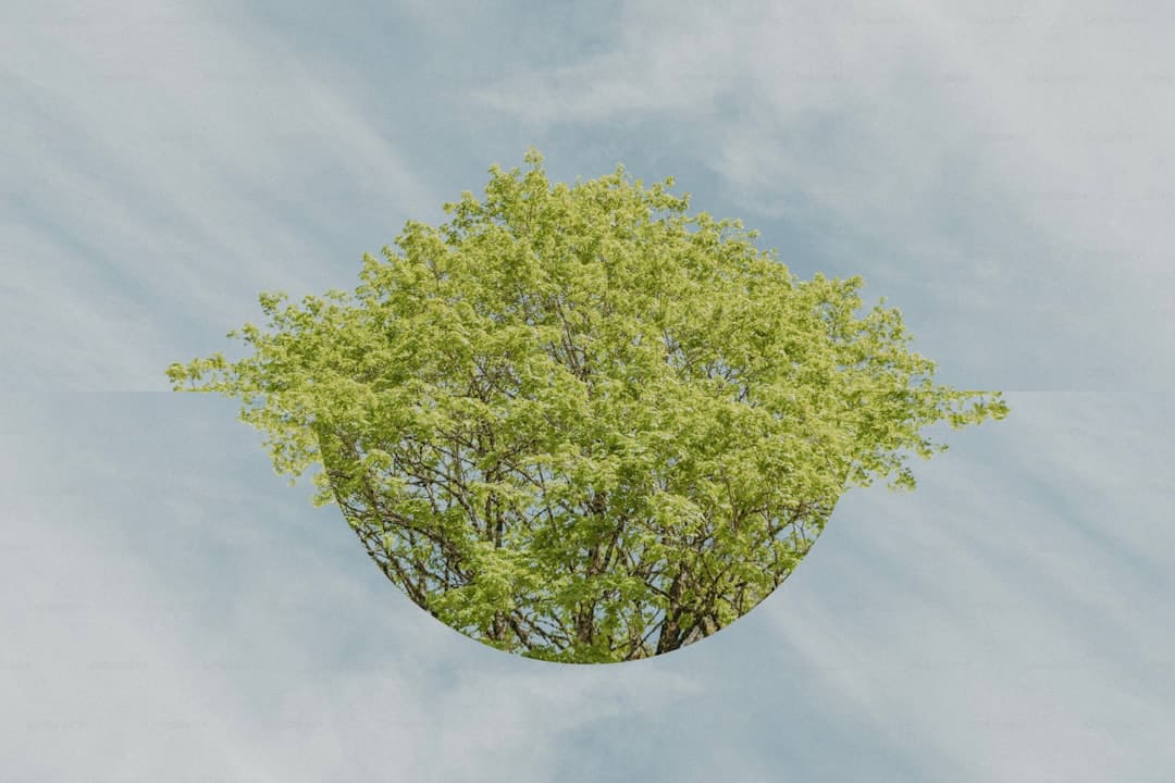 CS传奇选手somebody被曝组织打假赛，许昊文表示明日将作出回应 反转还是坦白一切？